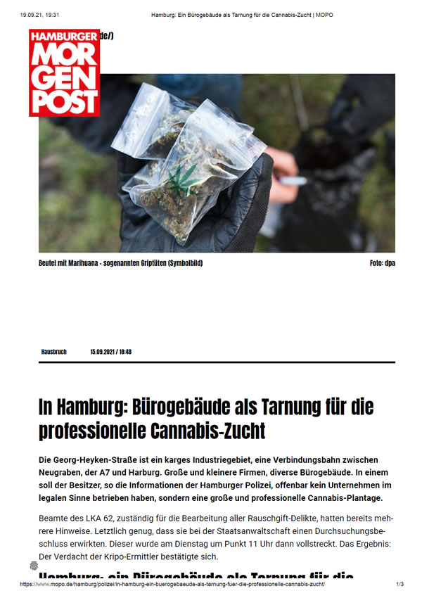 Drogenplantage Hamburger Morgenpost