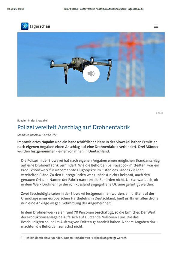 Prügelattacke PDF